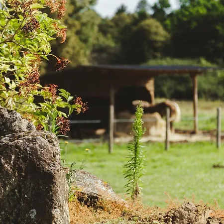 Holiday home Nuit Au Calme, En Pleine Nature Bagneux (Indre)